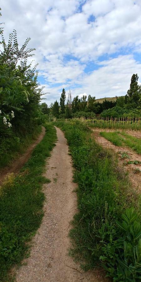 Apartamento Entrevinas En El Corazon De La Rioja Fuenmayor エクステリア 写真