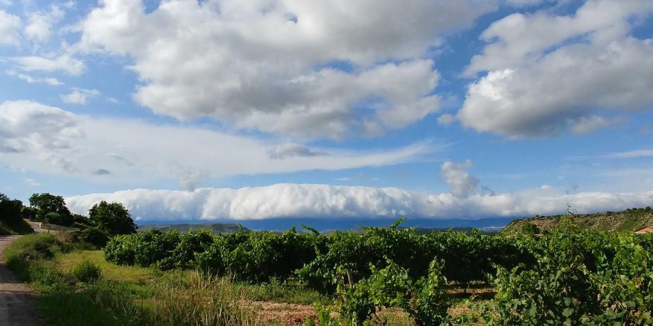 Apartamento Entrevinas En El Corazon De La Rioja Fuenmayor エクステリア 写真